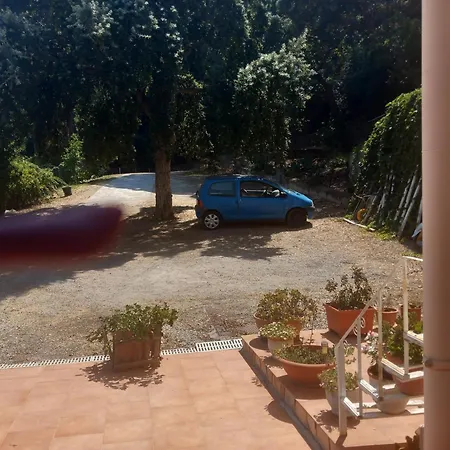 Bed and breakfast Alba Tra I Pini Cefalú