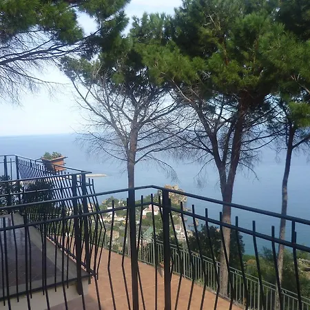 Alba Tra I Pini