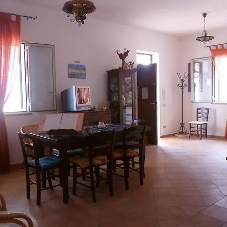 Alba Tra I Pini
