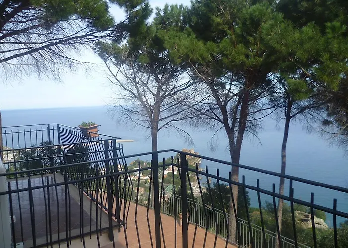 Alba Tra I Pini
